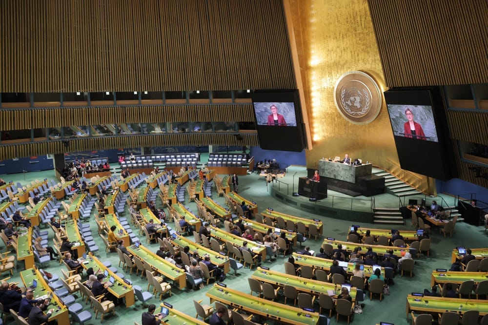 Foreign Minister Penny Wong addresses the UN General Assembly last month (@SenatorWong/Twitter)