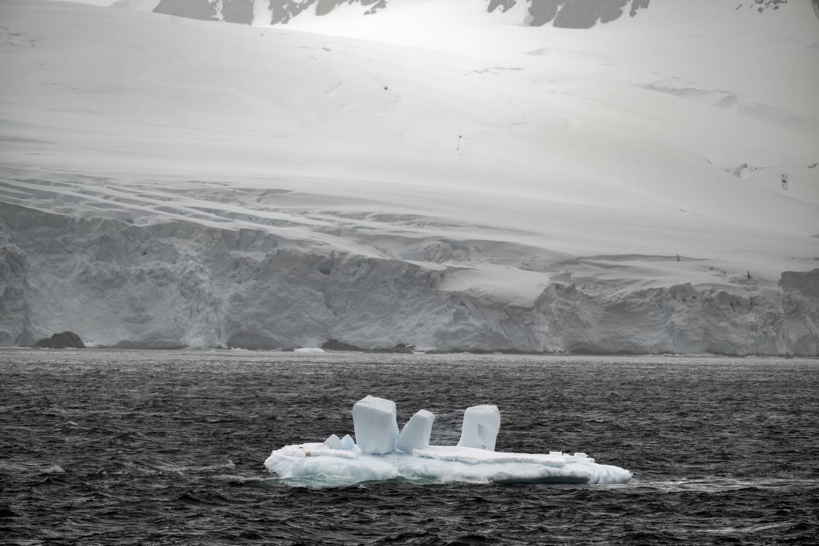 Charting new paths for Antarctic protection despite China’s resistance ...