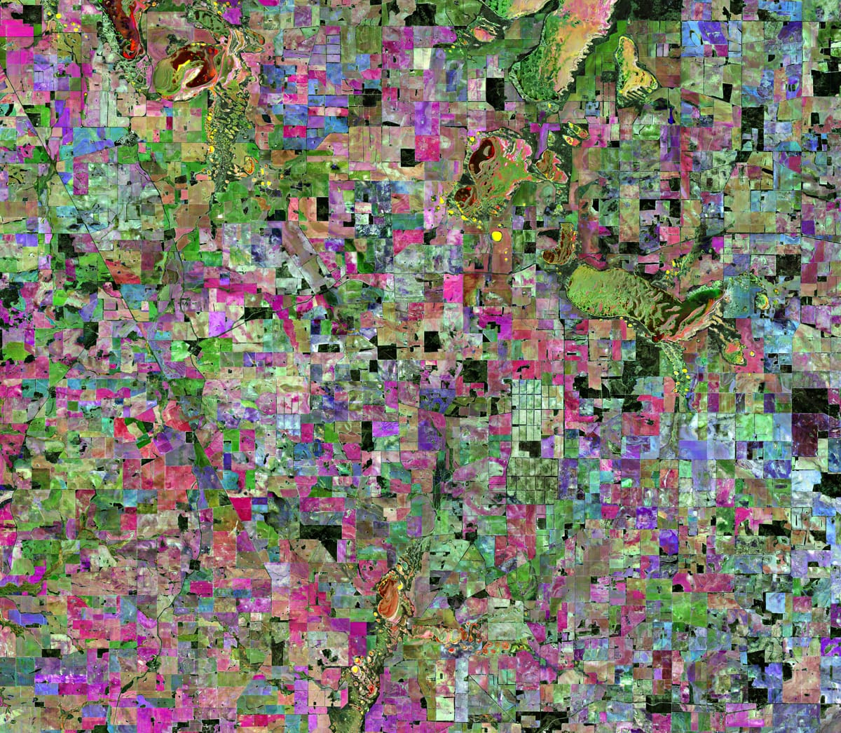 Transposed satellite images mapping and monitoring croplands in Western Australia's wheatbelt (Copernicus Sentinel data, processed by ESA/Flickr)