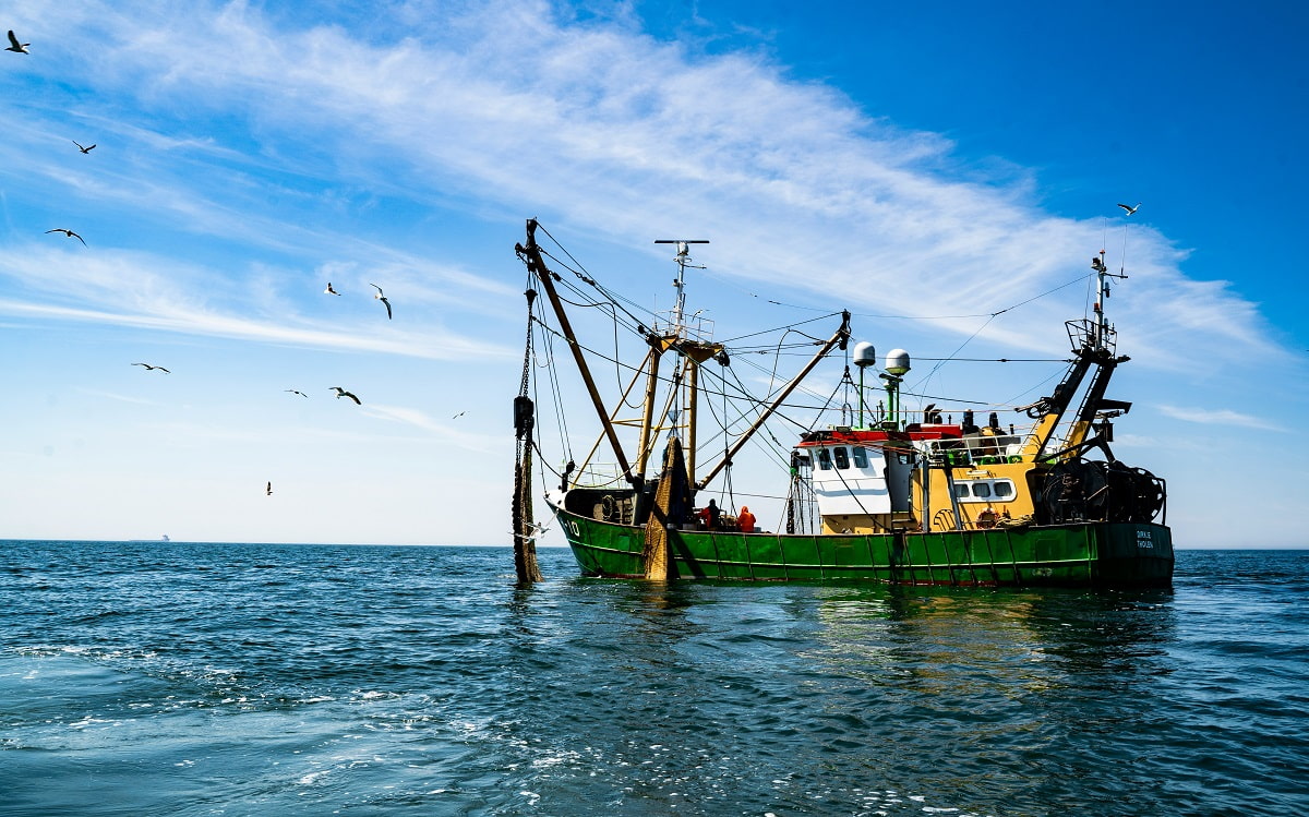 More than 70 per cent of cable faults stem from fishing and shipping activities, both above and below water (Paul Einerhand/Unsplash)