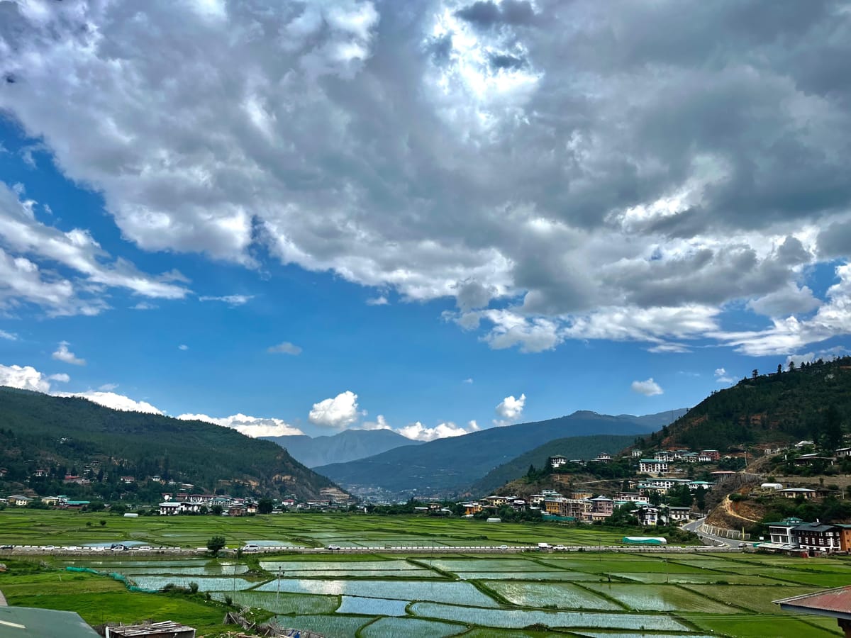 Paddy fields of Paro (Ved Shinde)