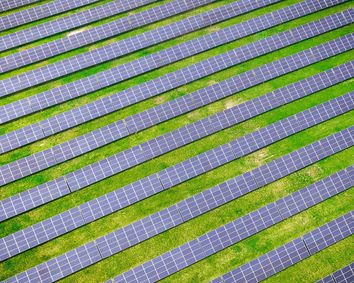 The transmission of renewable electricity across borders is likely to play a part in Southeast Asia’s decarbonisation efforts (Derek Sutton/Unsplash)