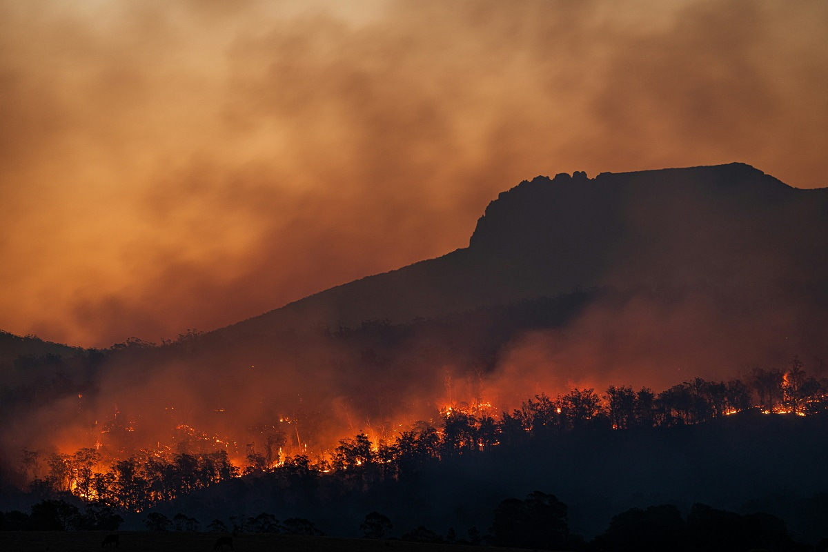 Bushfires burn below Stacks Bluff, Tasmania, in 2021 (Matt Palmer/Unsplash)