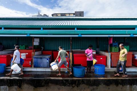 Sorting the catch at the fish market in Malé (Matt Hunt/Anadolu via Getty Images)