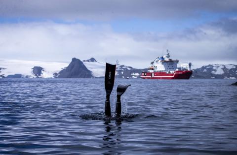 The Convention is founded on the principle of managing the impact of human activities in Antarctica based on collaboration and cooperation (Ozge Elif Kizil/Anadolu via Getty Images)